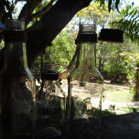 Bed and Breakfast Chale Rancho Aratama Жакареї Екстер'єр фото