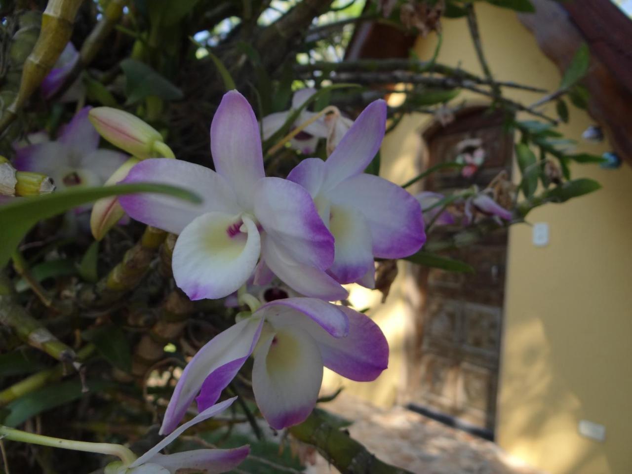 Bed and Breakfast Chale Rancho Aratama Жакареї Екстер'єр фото
